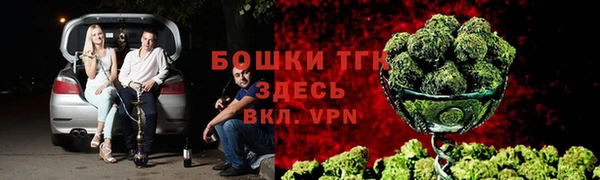 Альфа ПВП Дмитриев