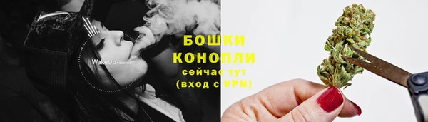 эйфоретик Магас