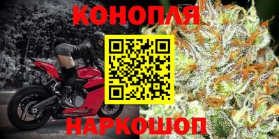 СК Донецк
