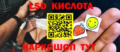 СК Донецк