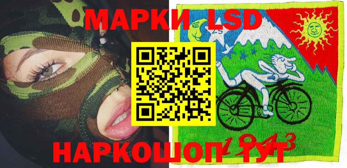 МЕФ Заинск