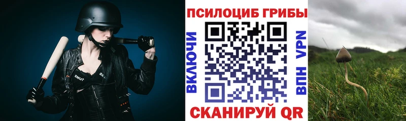 нарко площадка Telegram  Заинск  Галлюциногенные грибы мухоморы 