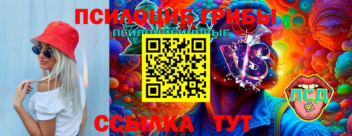 Псилоцибиновые грибы ЛСД  Вход с VPN  Заинск 